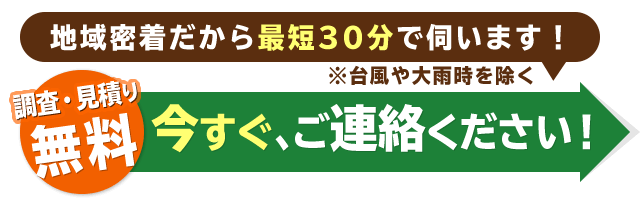 今すぐご連絡ください！